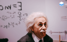 tipuri de profesori in facultate