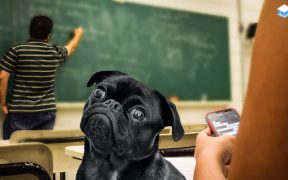 ce sa nu spui cand te a prins copiind la examene